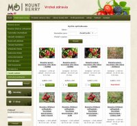 Mountberry webdesign and eshop programming